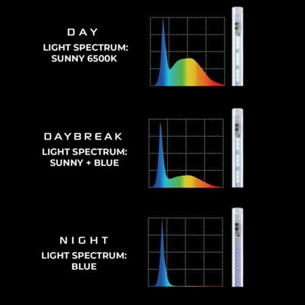 Grote foto day night leddy tube led lamp 10watt 415mm vervangt 55 60cm tl dieren en toebehoren vissenkommen
