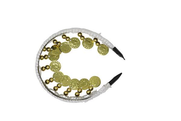 Grote foto goud witte hoofdband munten verzamelen overige verzamelingen