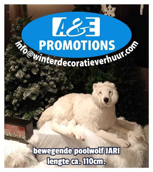 Grote foto white winter edition verhuur harderwijk hobby en vrije tijd feestartikelen