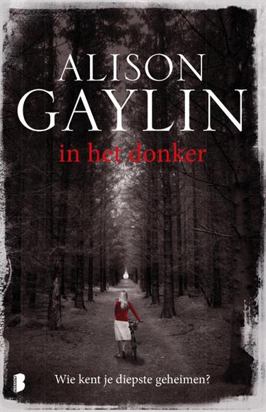 Grote foto in het donker brenna spector 2 boeken thrillers