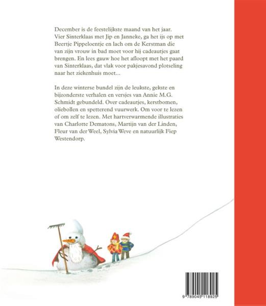 Grote foto december boeken jeugd 13 jaar en ouder