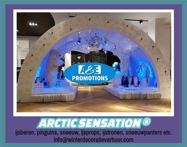 Grote foto ijs effect frozen verhuur poolwolf t. 0599 416200 hobby en vrije tijd feestartikelen