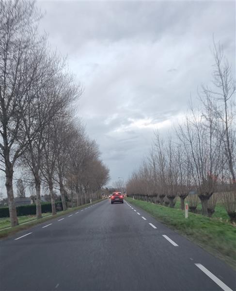 Grote foto op zoek naar een volwassen vrouw erotiek man zoekt relatie met vrouw
