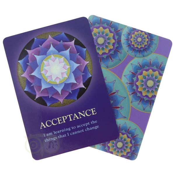 Grote foto the soul s journey lesson cards james van praagh eng boeken overige boeken