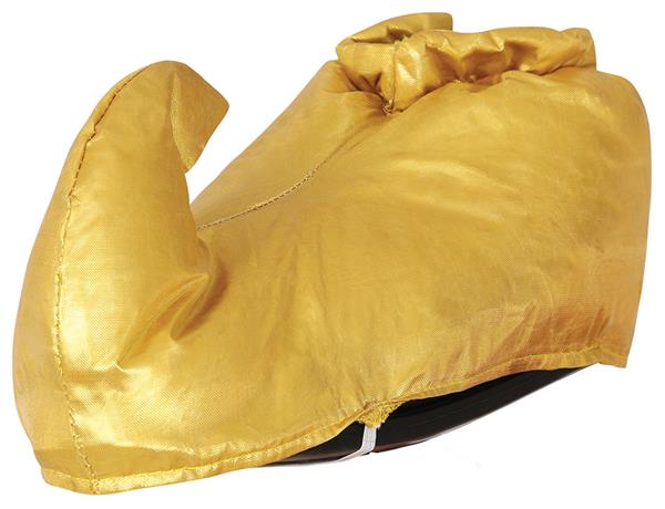 Grote foto gouden schoenen verzamelen overige verzamelingen