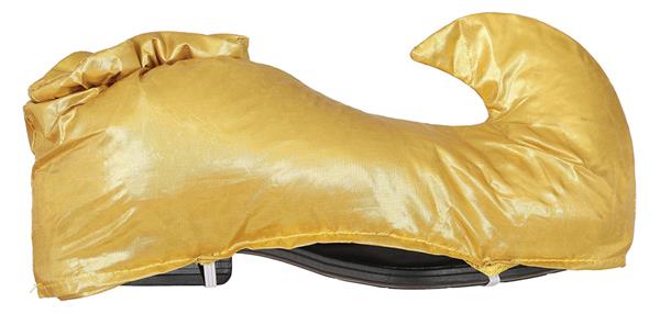Grote foto gouden schoenen verzamelen overige verzamelingen