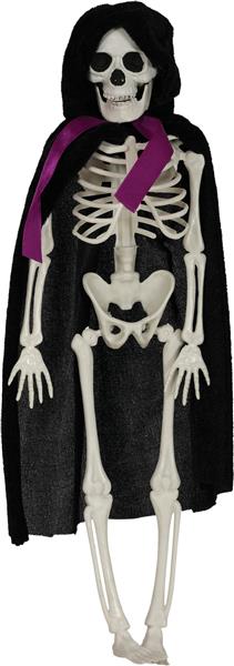 Grote foto halloween skelet blauw wit bruidegom 43cm verzamelen overige verzamelingen