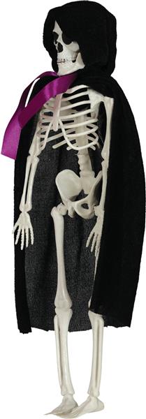 Grote foto halloween skelet blauw wit bruidegom 43cm verzamelen overige verzamelingen