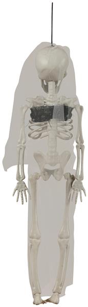 Grote foto halloween skelet bruid 43cm verzamelen overige verzamelingen