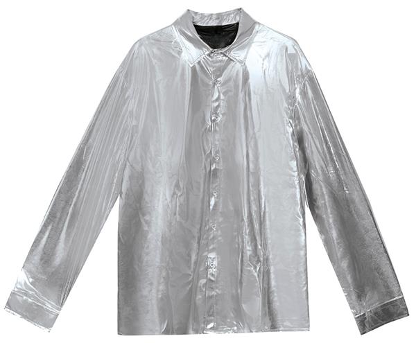 Grote foto zilveren blouse heren verzamelen overige verzamelingen