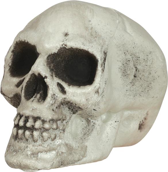 Grote foto halloween schedel 8cm 6st verzamelen overige verzamelingen