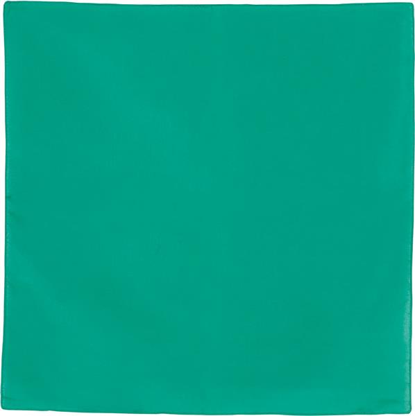 Grote foto groene bandana 54cm verzamelen overige verzamelingen
