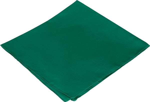 Grote foto groene bandana 54cm verzamelen overige verzamelingen