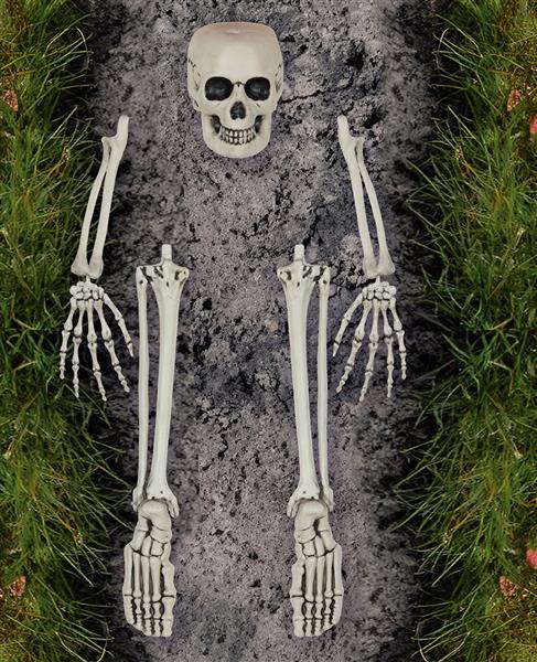 Grote foto halloween skelet botten 5 delig verzamelen overige verzamelingen
