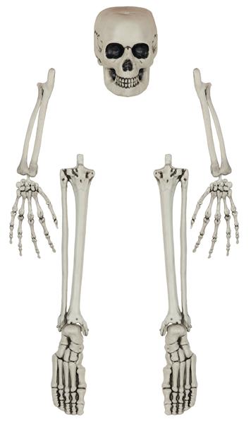 Grote foto halloween skelet botten 5 delig verzamelen overige verzamelingen