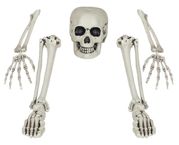 Grote foto halloween skelet botten 5 delig verzamelen overige verzamelingen