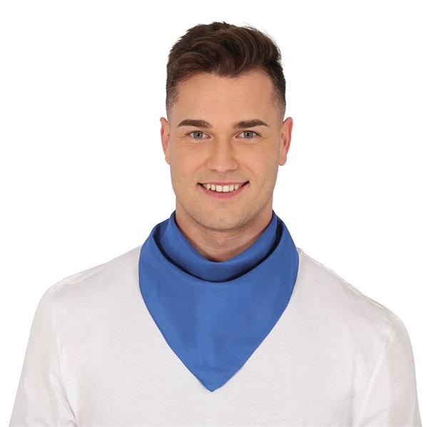 Grote foto lichtblauwe bandana 54cm verzamelen overige verzamelingen