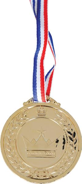 Grote foto gouden medaille 7cm verzamelen overige verzamelingen