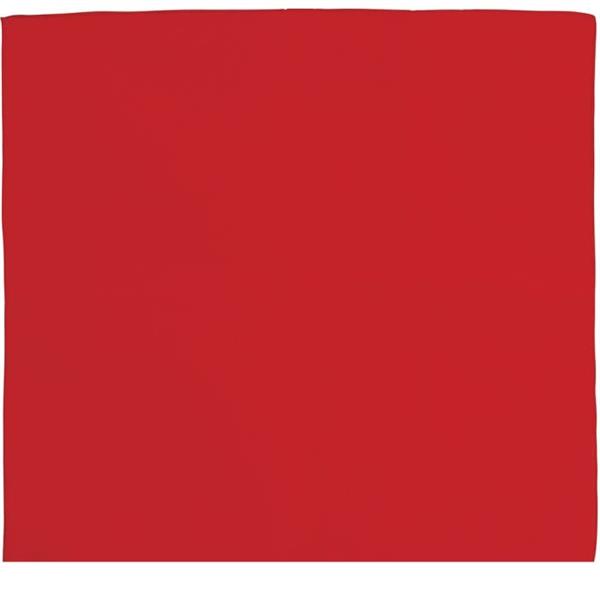 Grote foto rode bandana 54cm verzamelen overige verzamelingen
