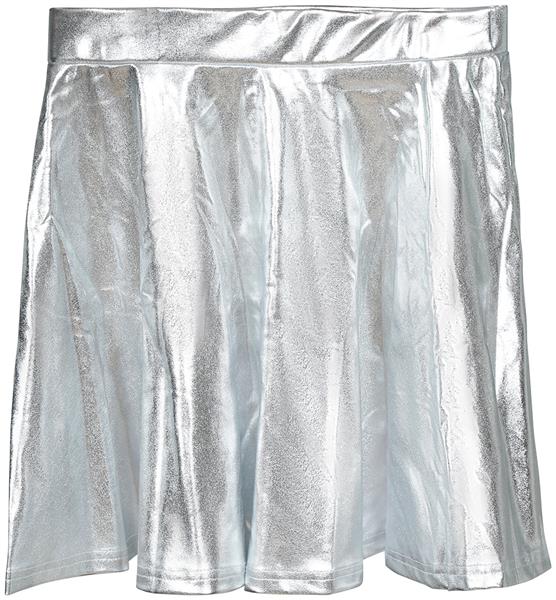 Grote foto zilveren rok metallic verzamelen overige verzamelingen