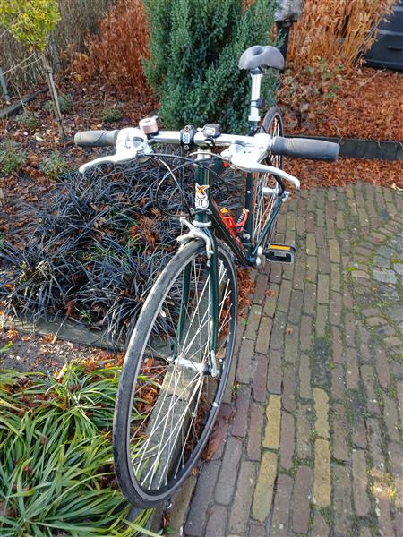 Grote foto een nette eddy merckx flyer palm fiets fietsen en brommers sportfietsen