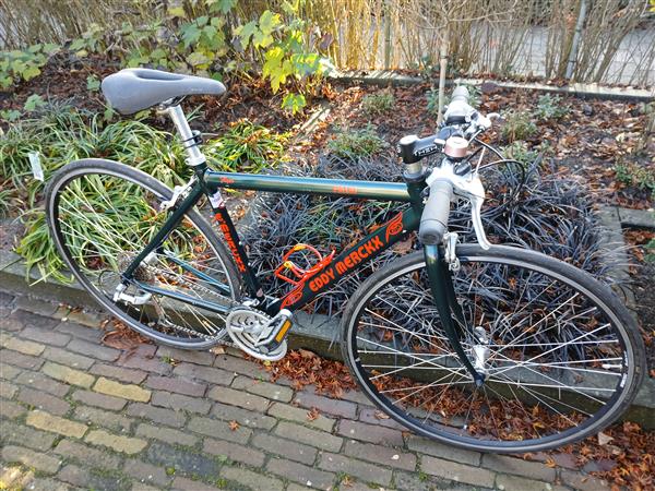 Grote foto een nette eddy merckx flyer palm fiets fietsen en brommers sportfietsen