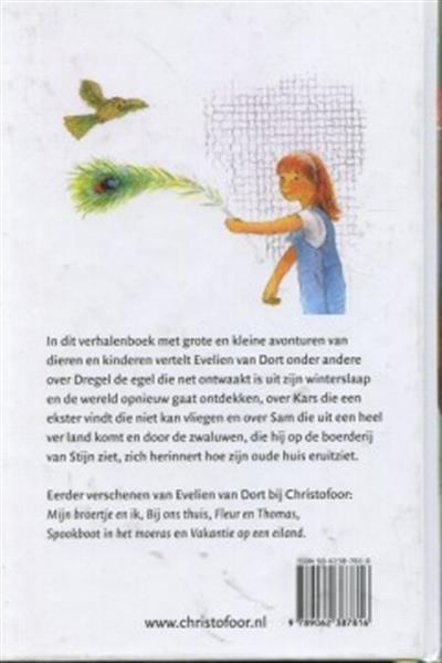 Grote foto trippel de eekhoorn dregel de egel en pietje parkiet boeken jeugd 13 jaar en ouder