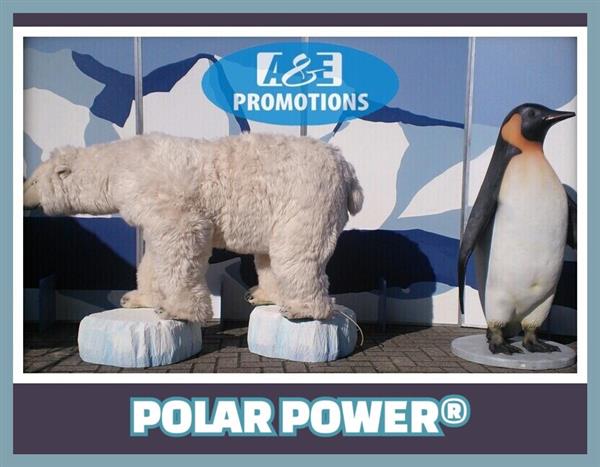Grote foto pinguins verhuur bewegende ijsberen nijmegen diensten en vakmensen entertainment
