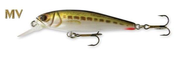 Grote foto goldy goldfish sinking 5 5 cm mb g07 sport en fitness vissport