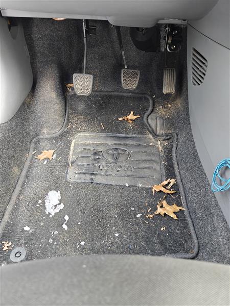 Grote foto mobiele carwash detailing diensten en vakmensen autopoetsers en wassers