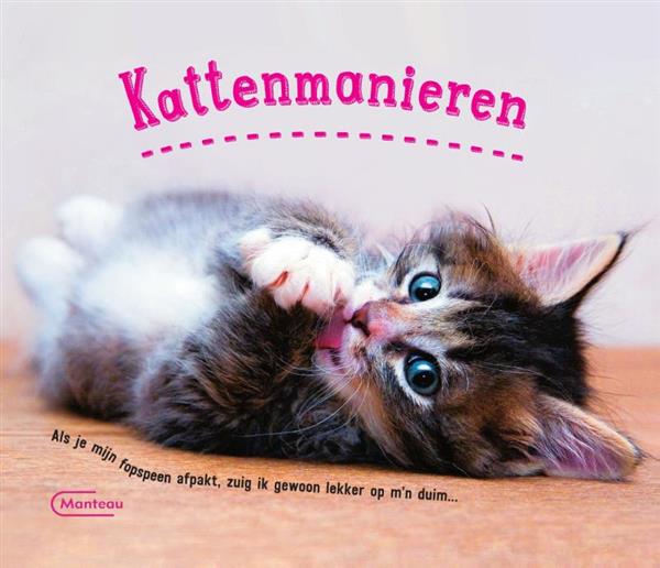 Grote foto kattenmanieren boeken hobby en vrije tijd
