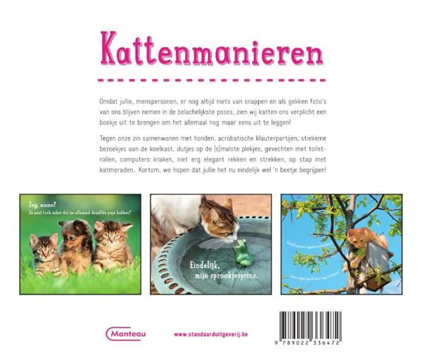 Grote foto kattenmanieren boeken hobby en vrije tijd
