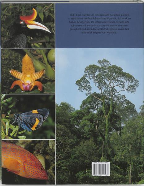 Grote foto beleef de wildernissen van maleisie boeken hobby en vrije tijd