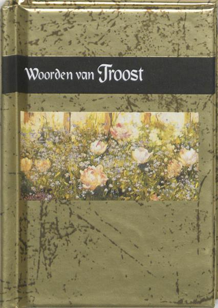 Grote foto woorden van troost gouden woorden boeken stripboeken