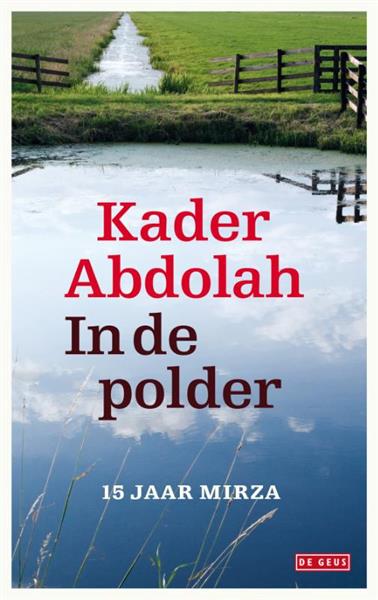 Grote foto in de polder boeken literatuur
