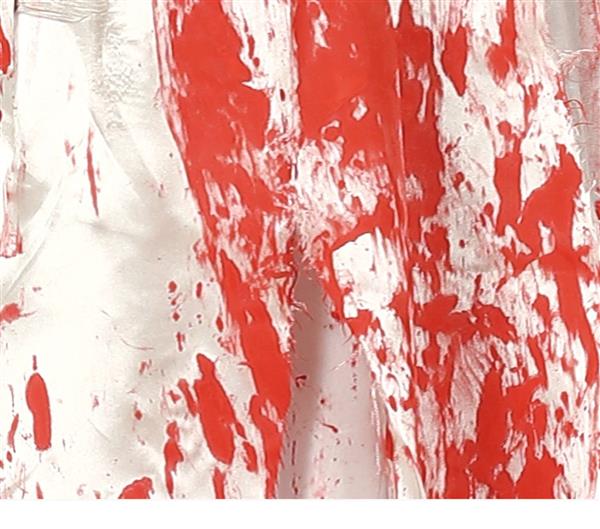 Grote foto trouwjurk halloween kostuum dames bebloed verzamelen overige verzamelingen