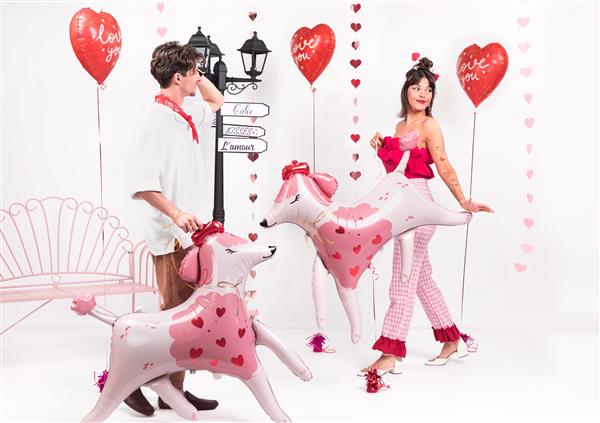 Grote foto hond helium ballon leeg 108cm verzamelen overige verzamelingen