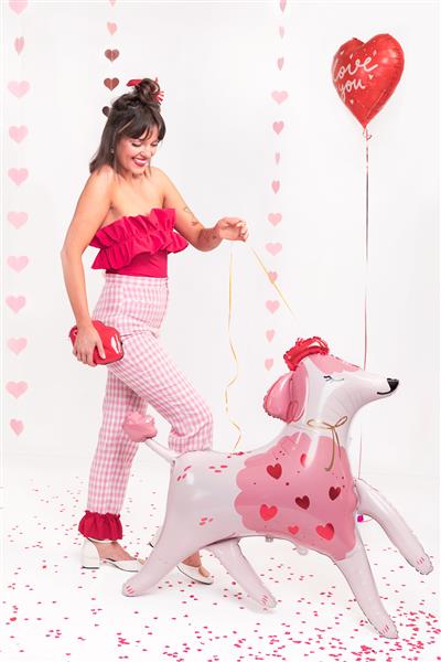 Grote foto hond helium ballon leeg 108cm verzamelen overige verzamelingen