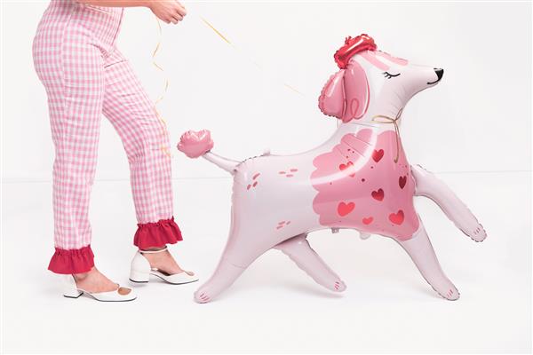 Grote foto hond helium ballon leeg 108cm verzamelen overige verzamelingen