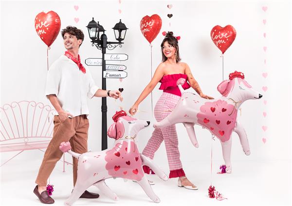 Grote foto hond helium ballon leeg 108cm verzamelen overige verzamelingen