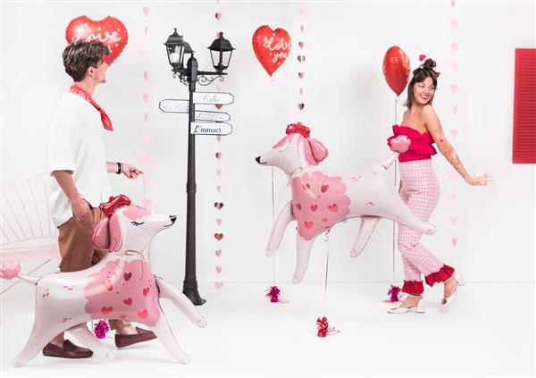 Grote foto hond helium ballon leeg 108cm verzamelen overige verzamelingen