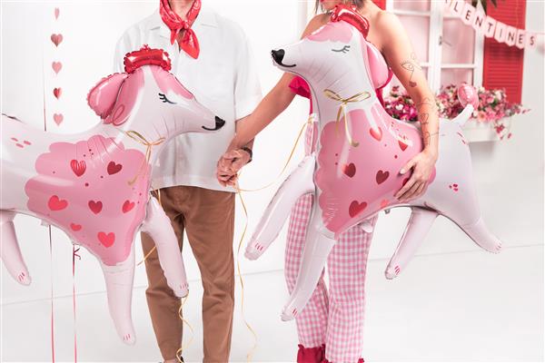 Grote foto hond helium ballon leeg 108cm verzamelen overige verzamelingen