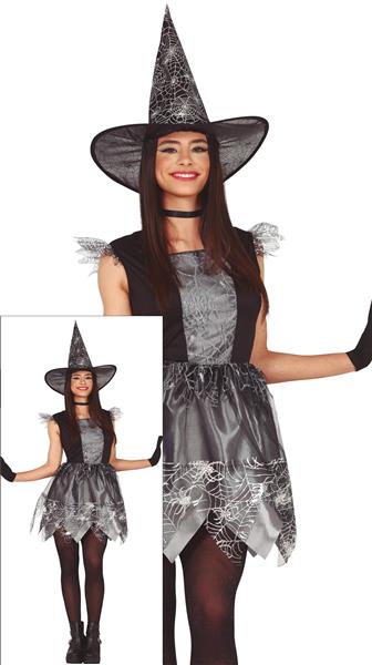Grote foto heks halloween kostuum dames zilver verzamelen overige verzamelingen