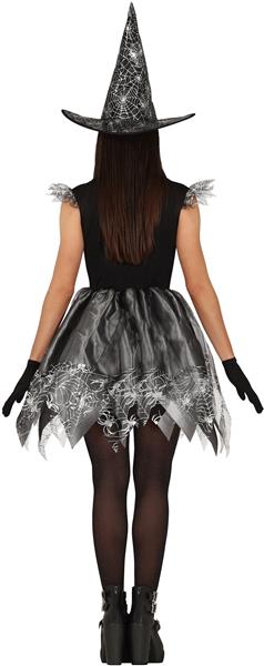 Grote foto heks halloween kostuum dames zilver verzamelen overige verzamelingen