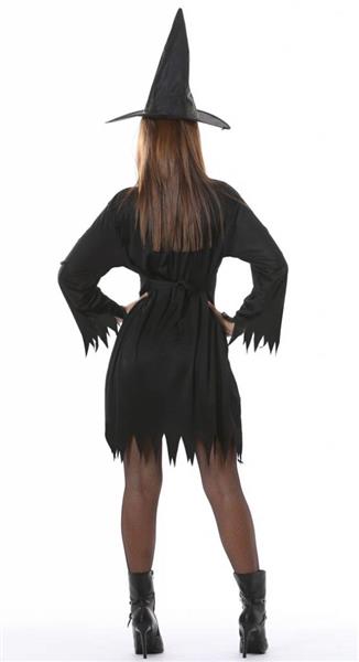 Grote foto halloween kostuum dames heks verzamelen overige verzamelingen