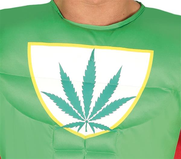 Grote foto marijuana kostuum heren verzamelen overige verzamelingen