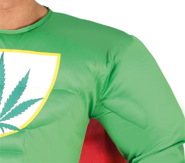 Grote foto marijuana kostuum heren verzamelen overige verzamelingen