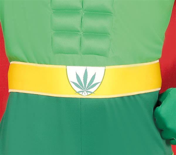 Grote foto marijuana kostuum heren verzamelen overige verzamelingen
