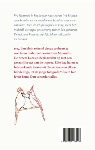 Grote foto alles wat licht is boeken jeugd 13 jaar en ouder