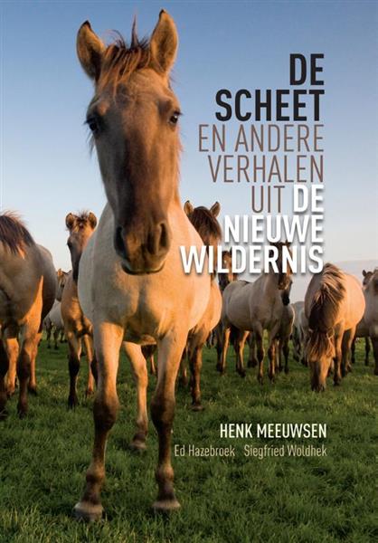 Grote foto de scheet boeken jeugd 13 jaar en ouder